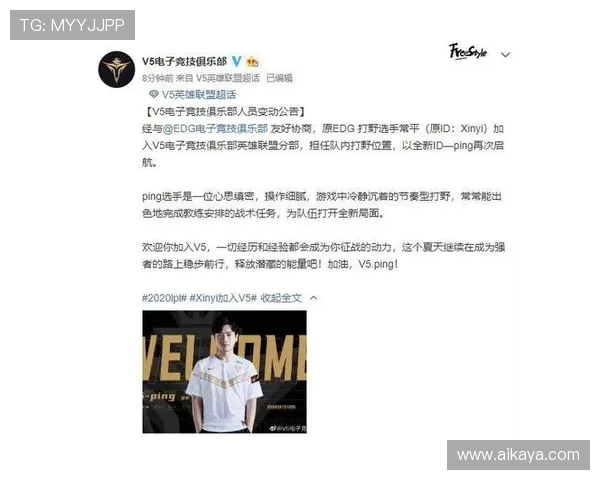 EDG职业联赛速度表现分析与战术解读全面解析