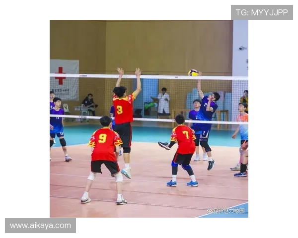 南京排球队在排球意识排行榜中荣获第六名展现出强大实力与潜力